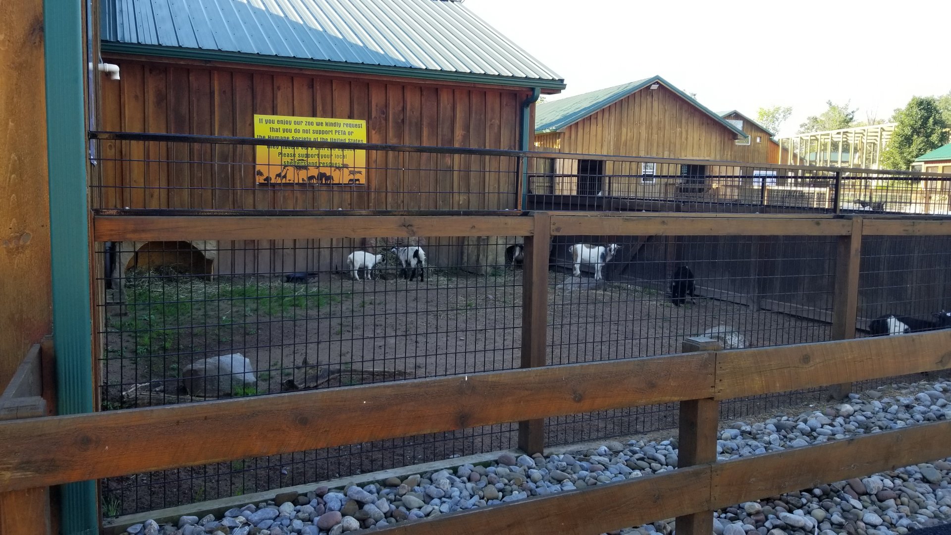 Wild Animal Park - Kid yard