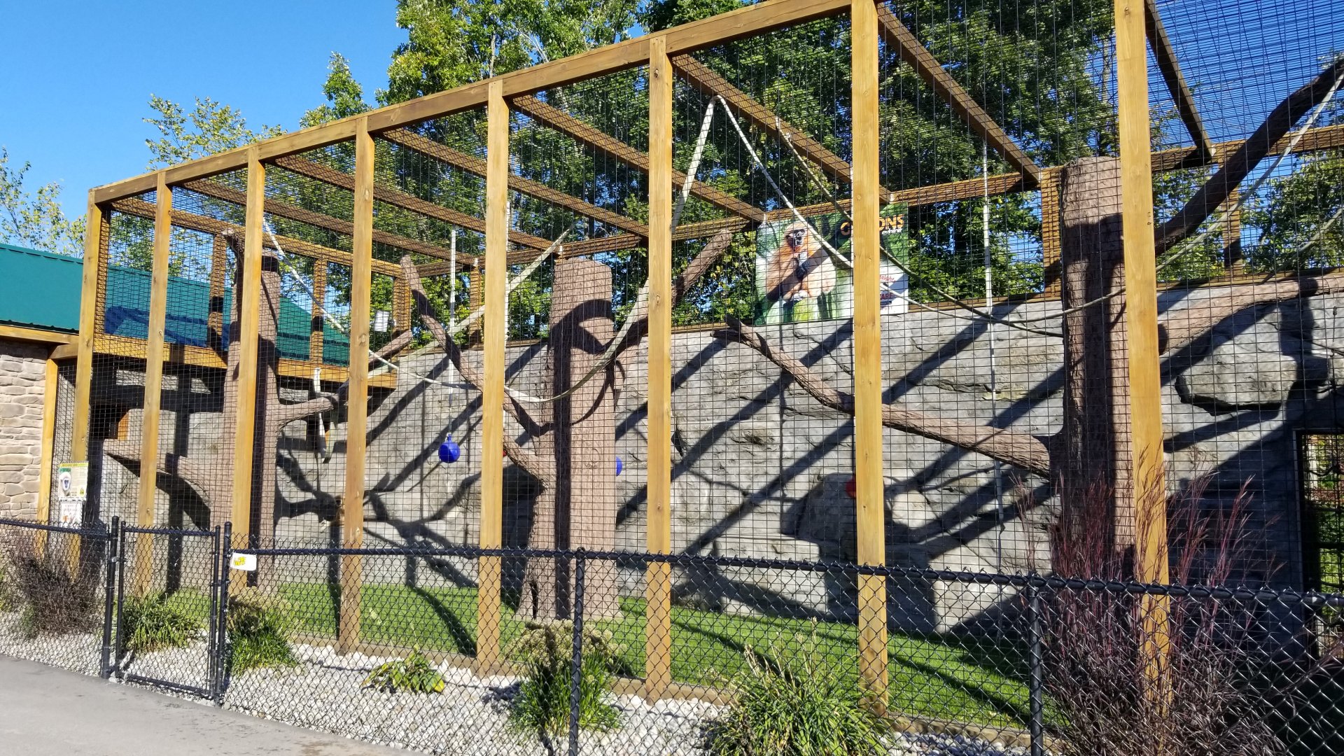 Wild Animal Park - Lar gibbon