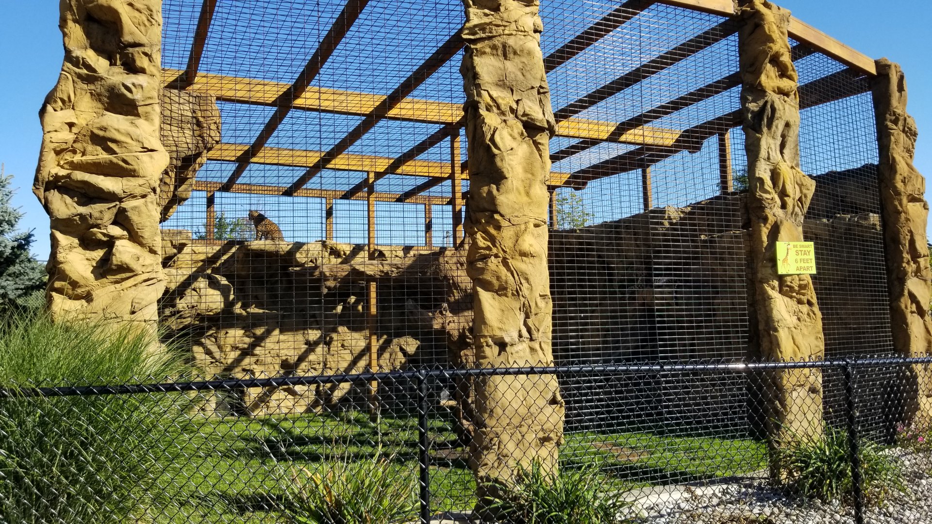 Wild Animal Park - Leopards