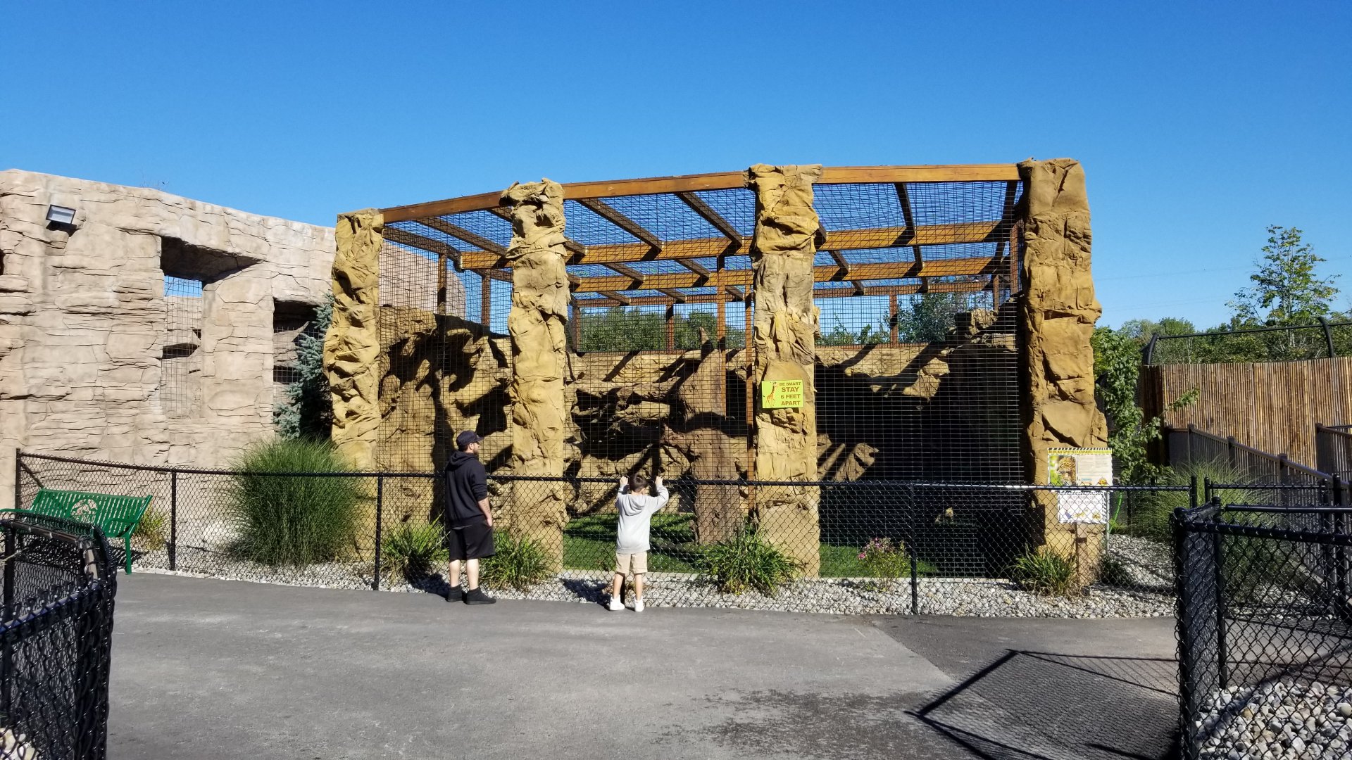 Wild Animal Park - Leopards