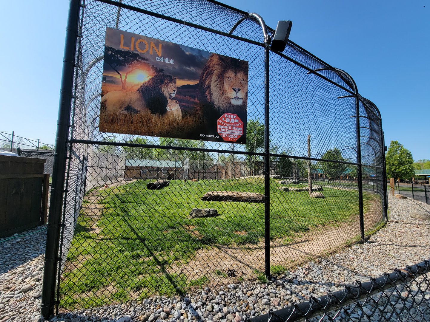Wild Animal Park - Lions