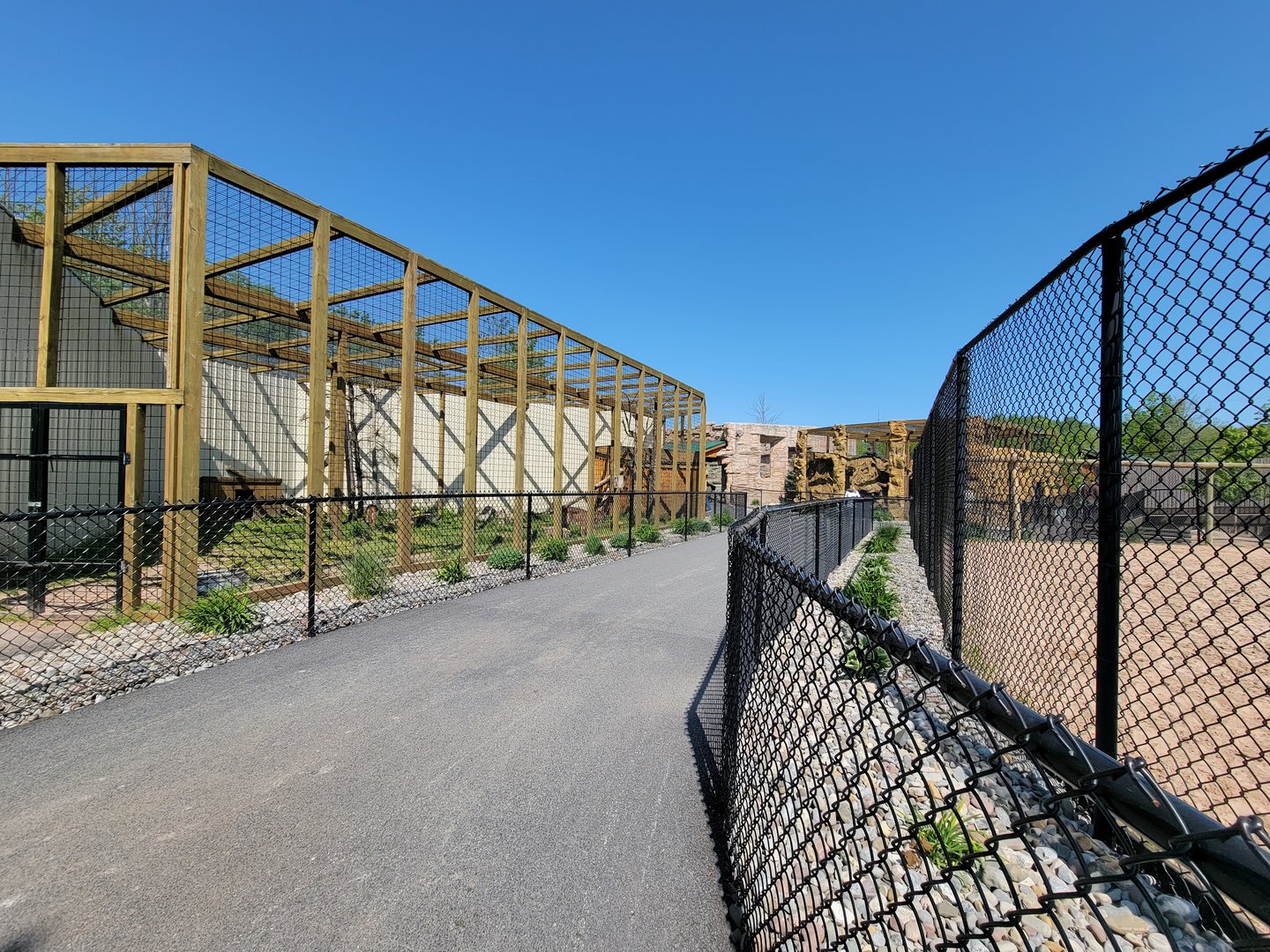 Wild Animal Park - Mountain lions on left, giraffes on right