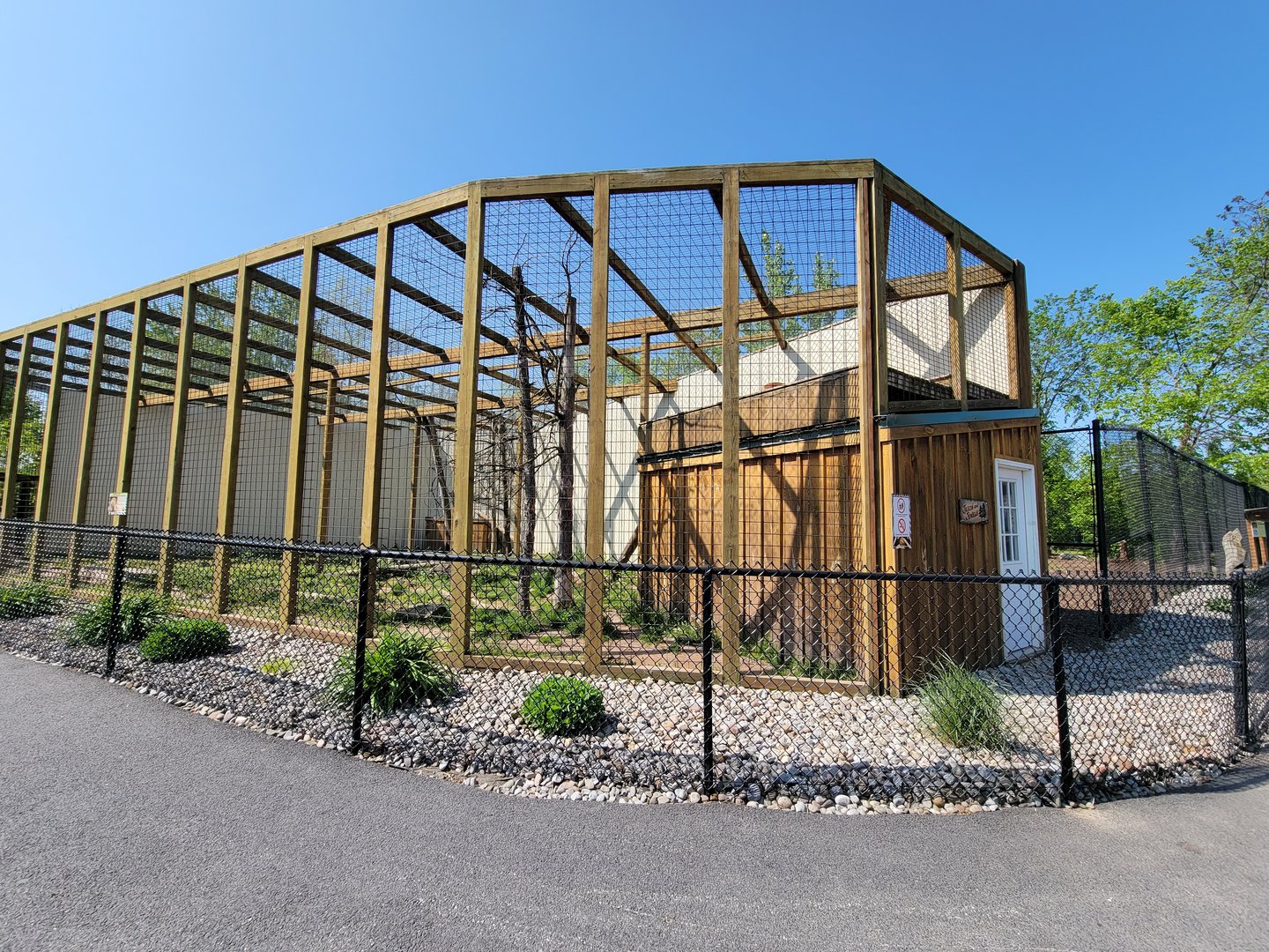 Wild Animal Park - Mountain lions