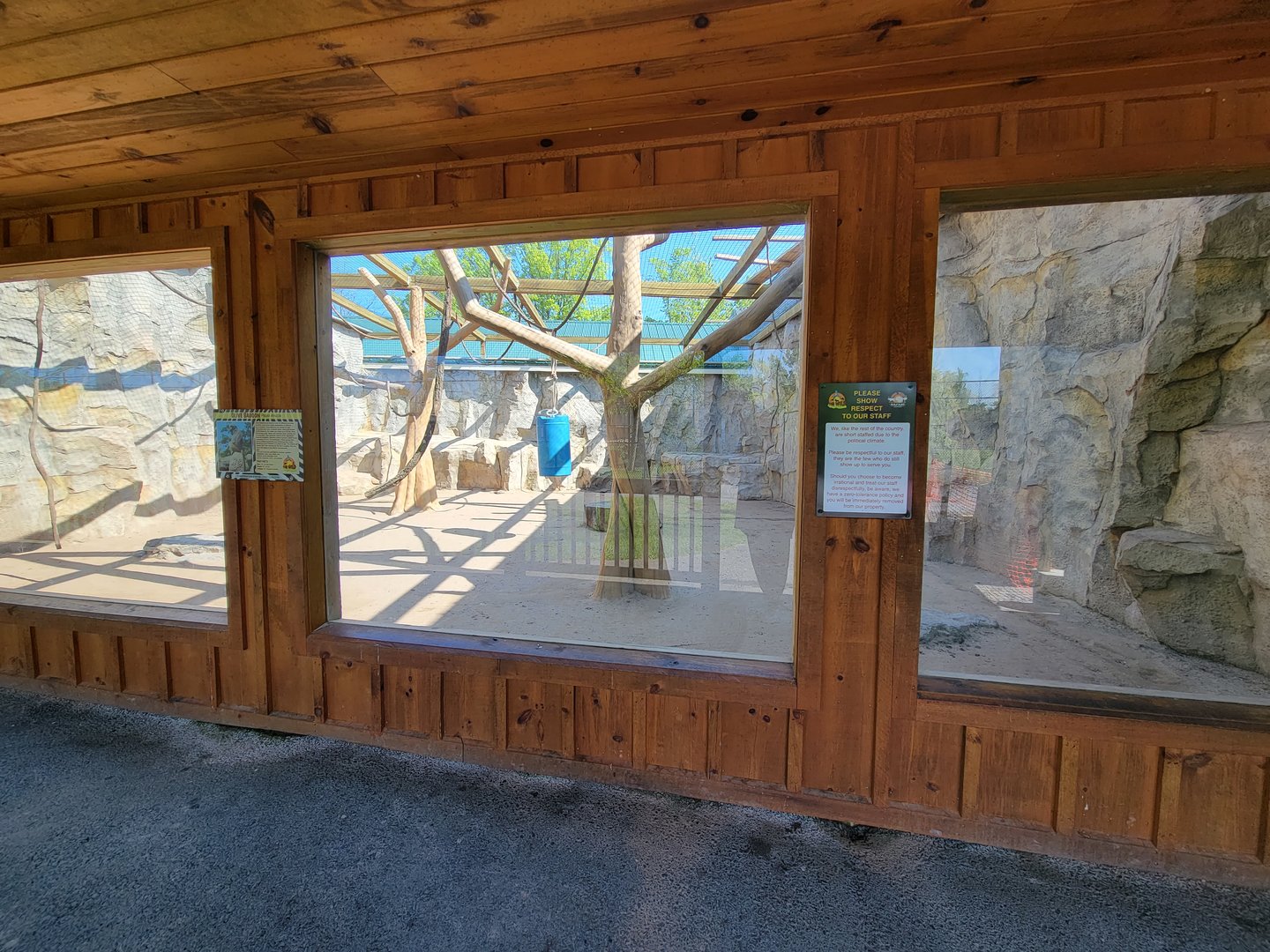 Wild Animal Park - Olive baboon exhibit