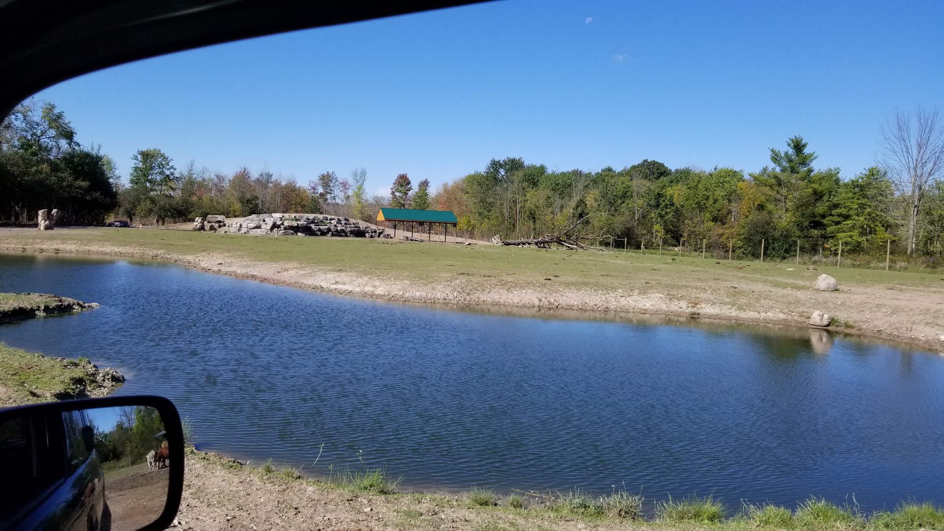 Wild Animal Park - One of many ponds