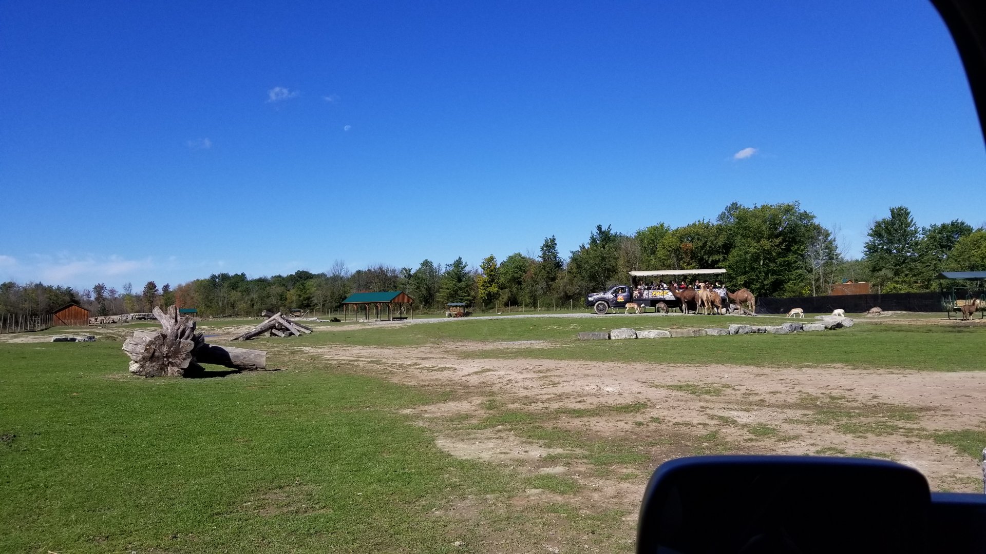 Wild Animal Park - Optional guided tour