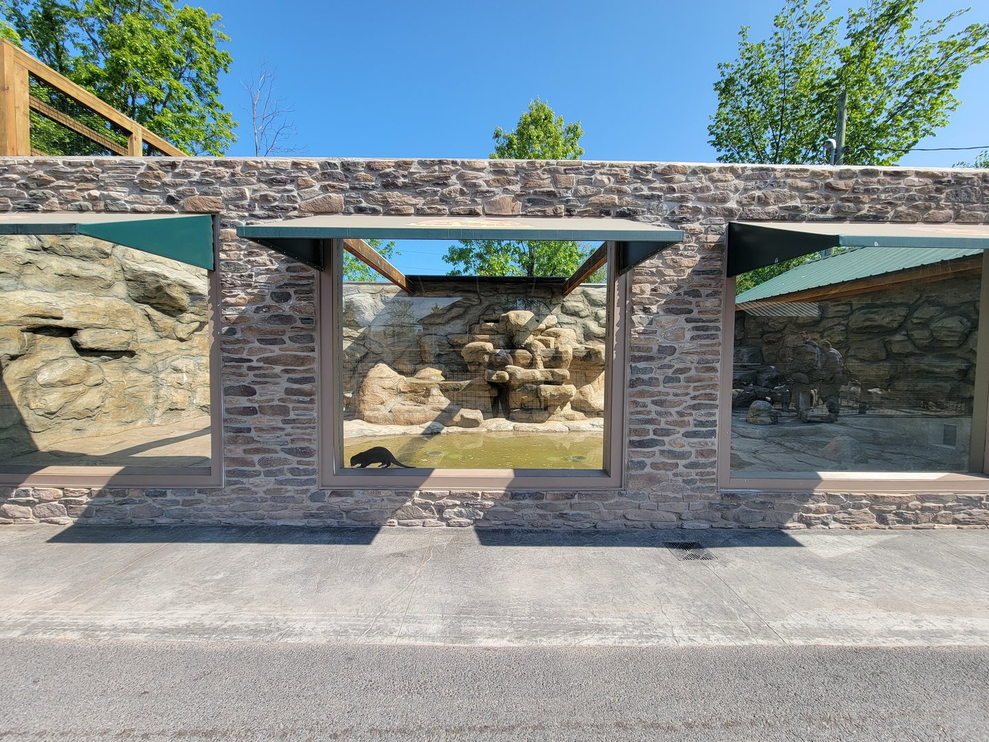 Wild Animal Park - Otters