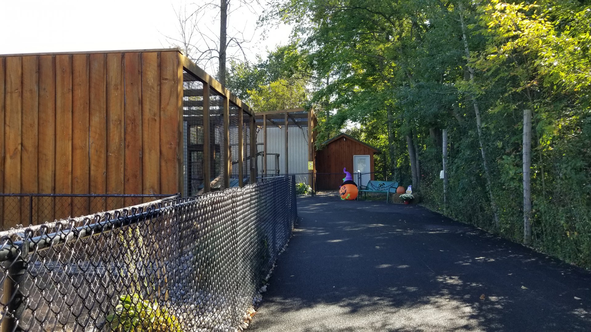 Wild Animal Park - Path