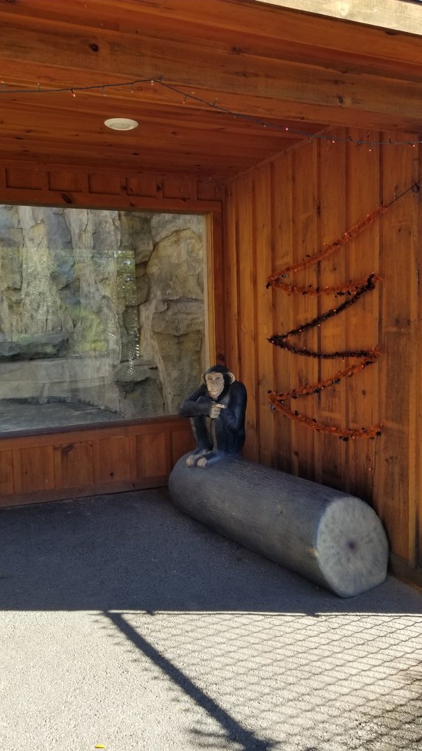 Wild Animal Park - Photo op bench