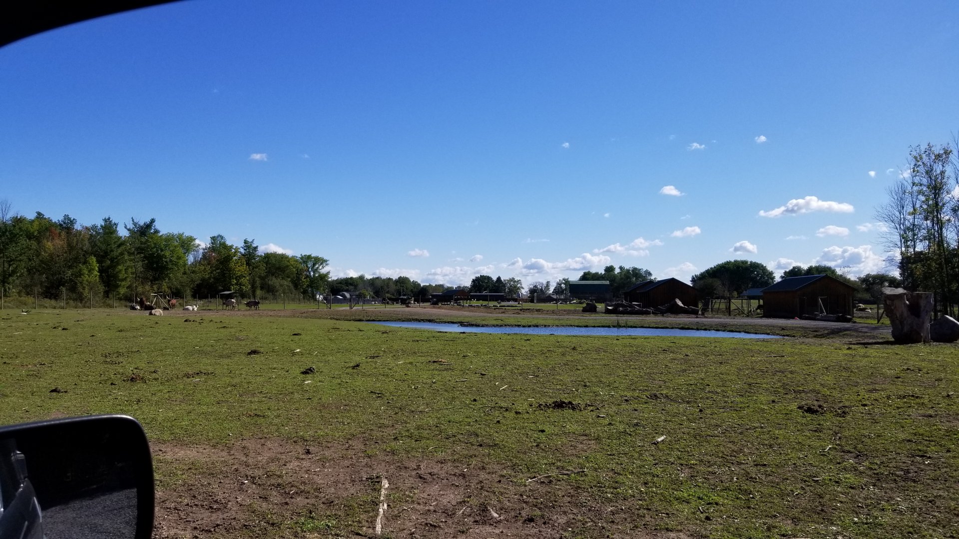 Wild Animal Park - Pond from other side