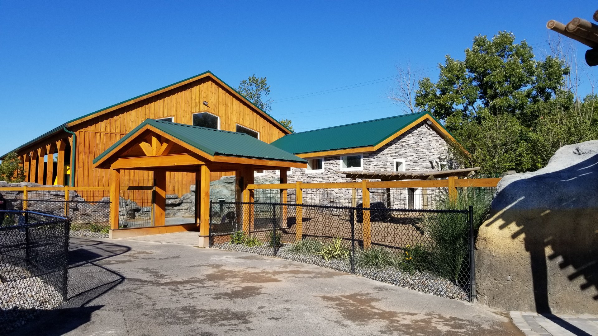 Wild Animal Park - Pygmy hippo