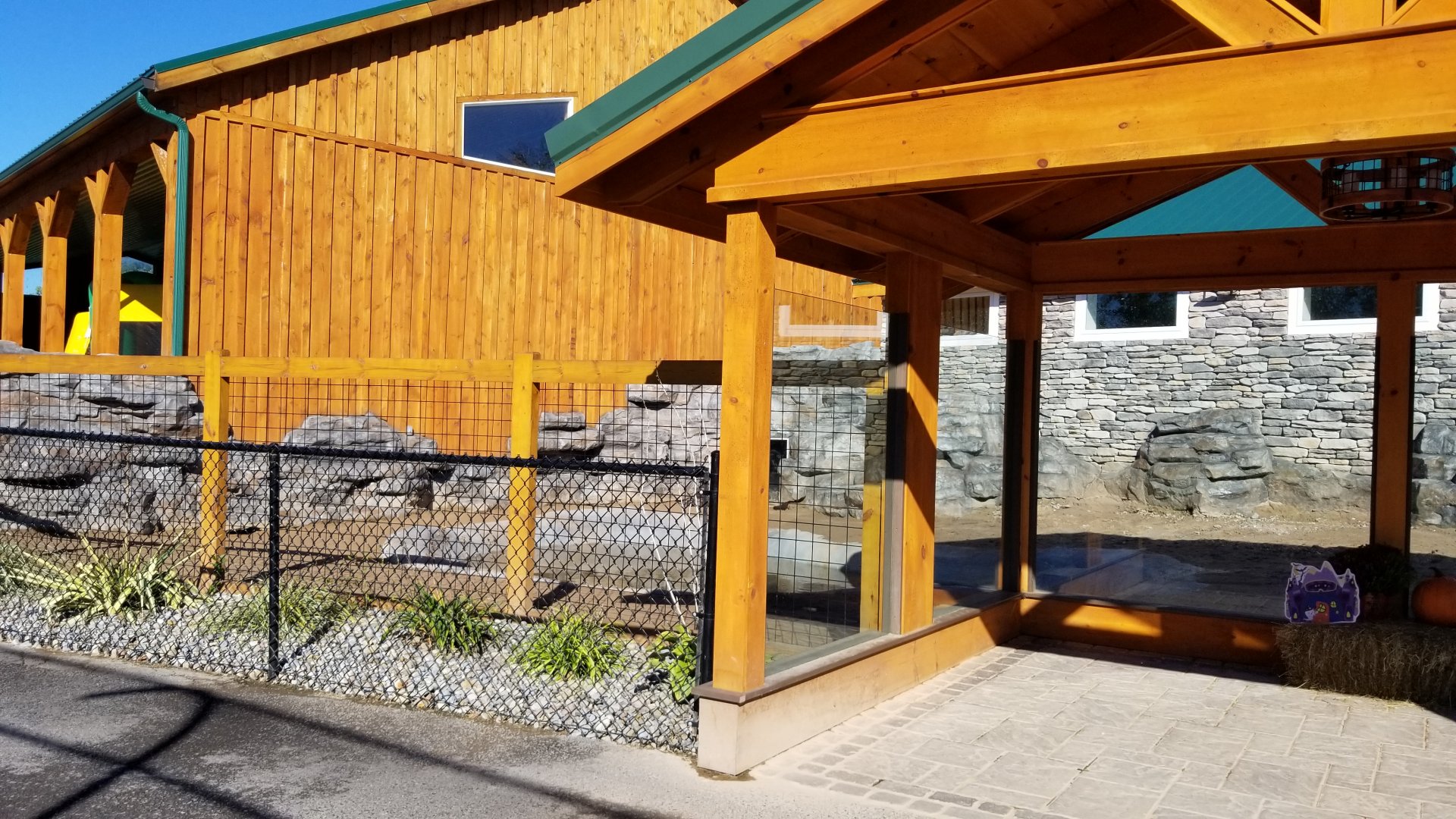 Wild Animal Park - Pygmy hippo