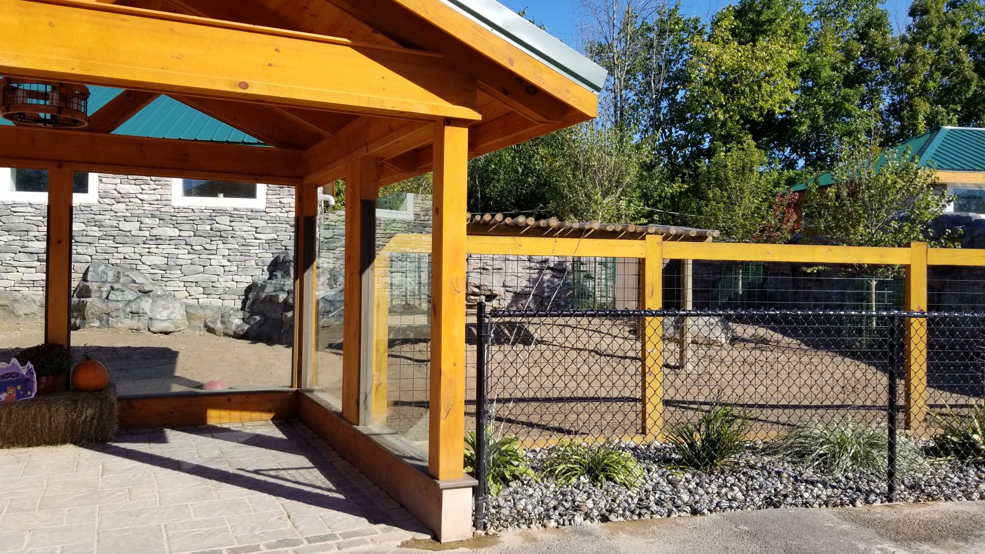 Wild Animal Park - Pygmy hippo