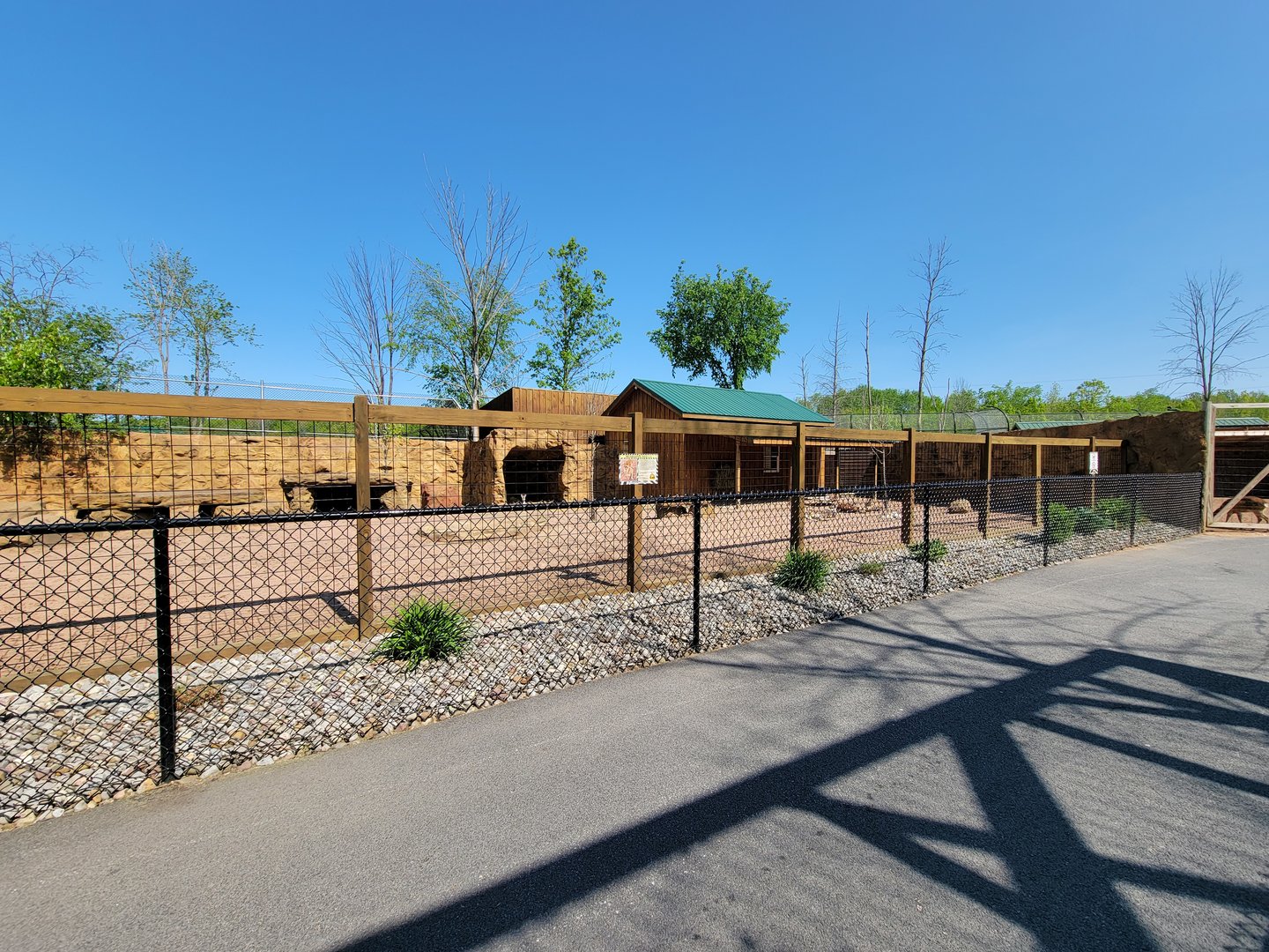 Wild Animal Park - Red kangaroos