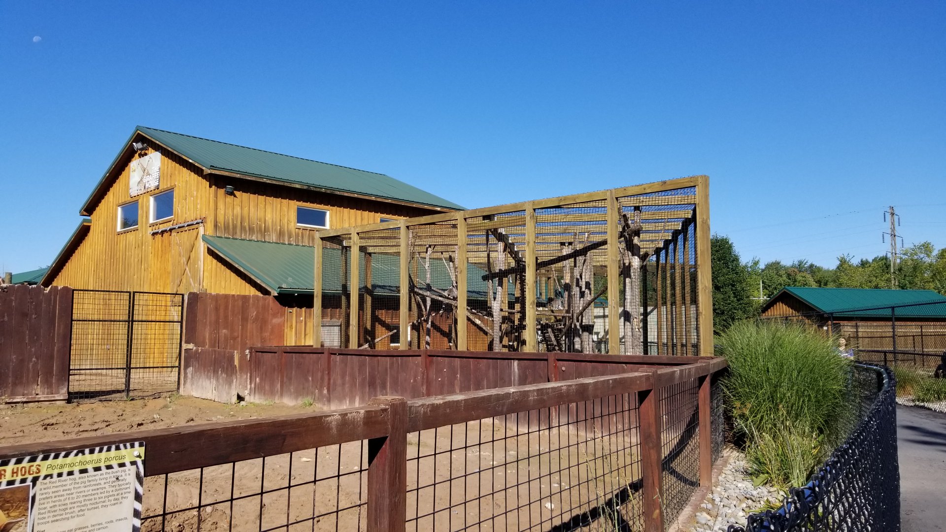 Wild Animal Park - red river hogs (empty), ring-tailed lemurs