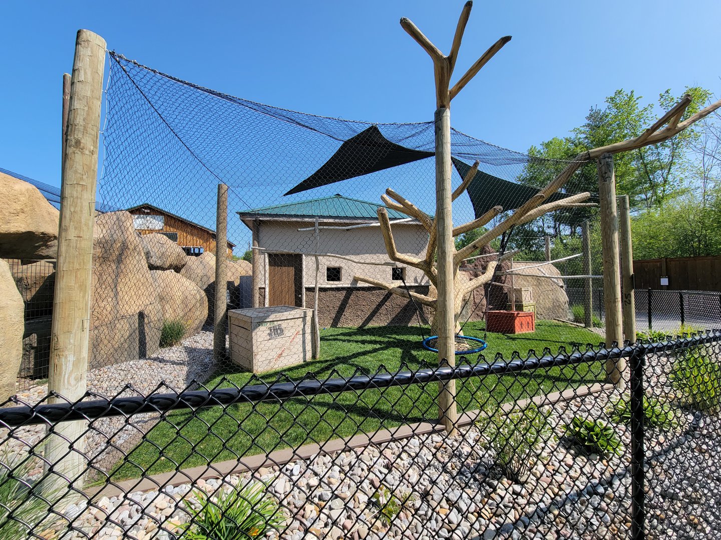 Wild Animal Park - Red ruffed lemurs