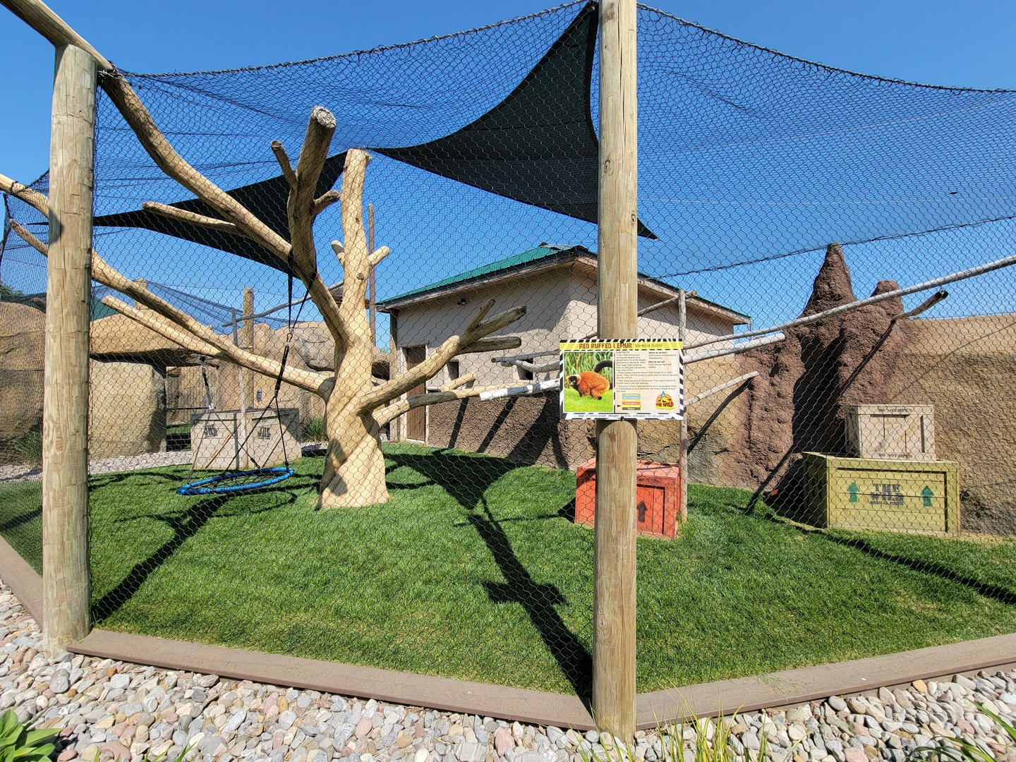 Wild Animal Park - Red ruffed lemurs