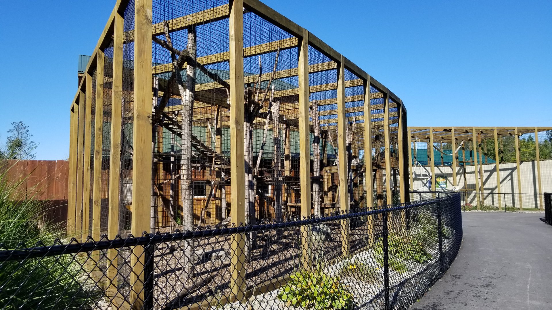 Wild Animal Park - Ring-tailed lemurs