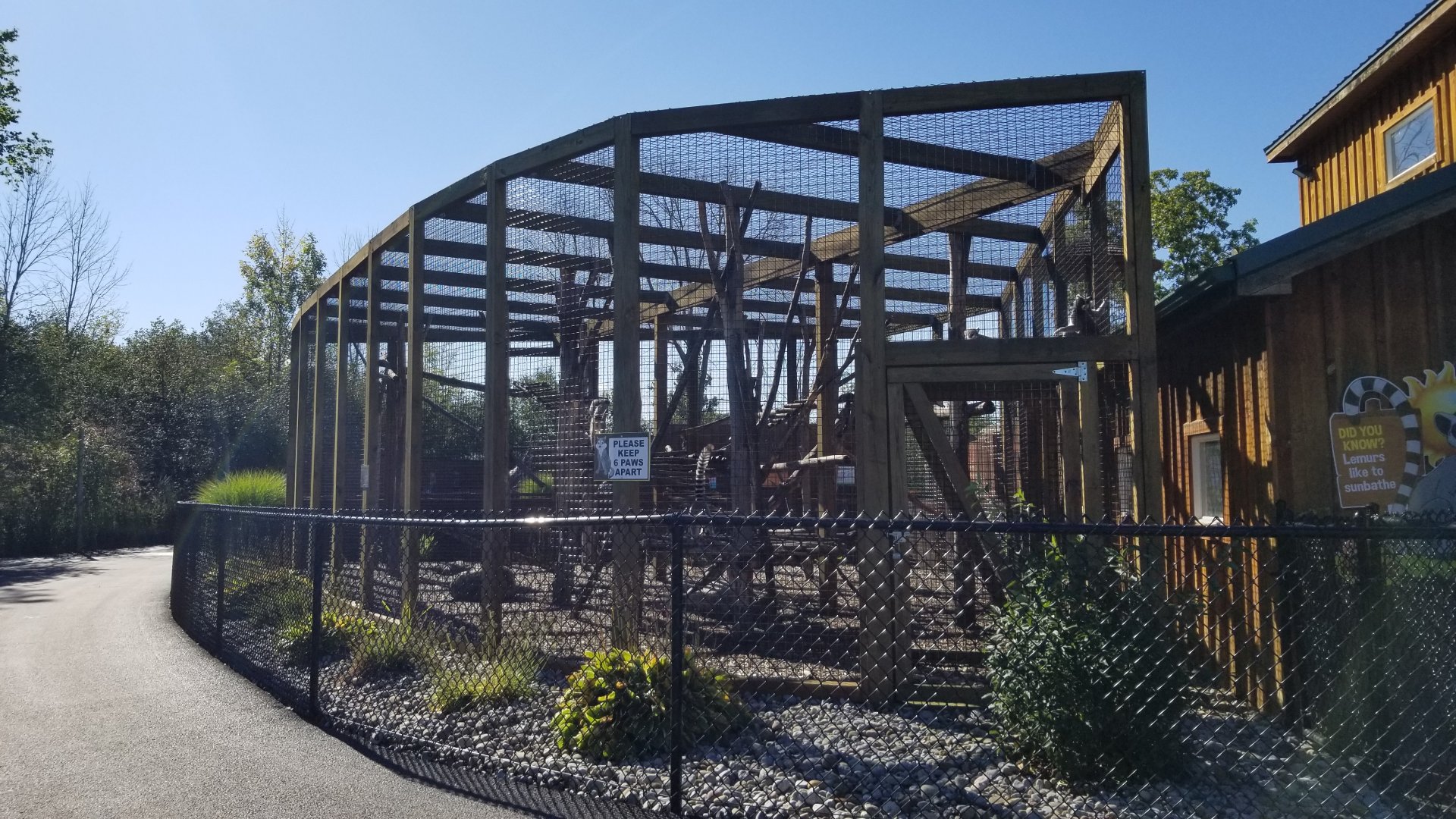 Wild Animal Park - Ring-tailed lemurs