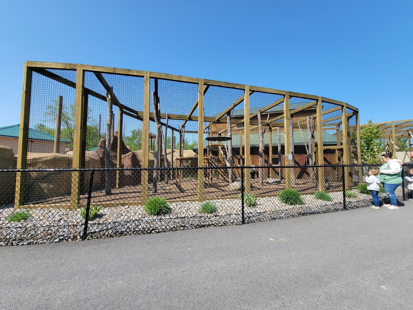 Wild Animal Park - Ring-tailed lemurs