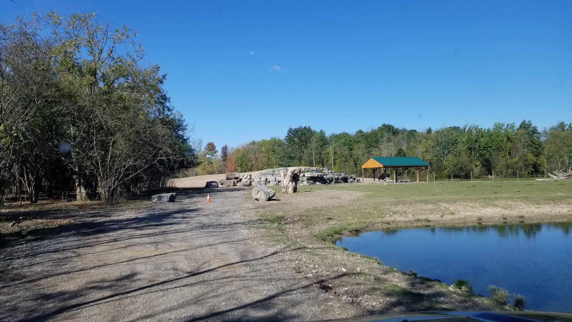 Wild Animal Park - Road