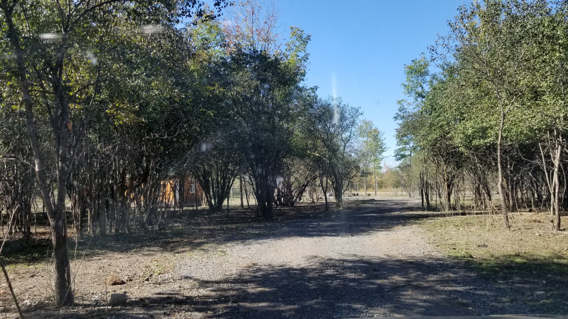 Wild Animal Park - Road