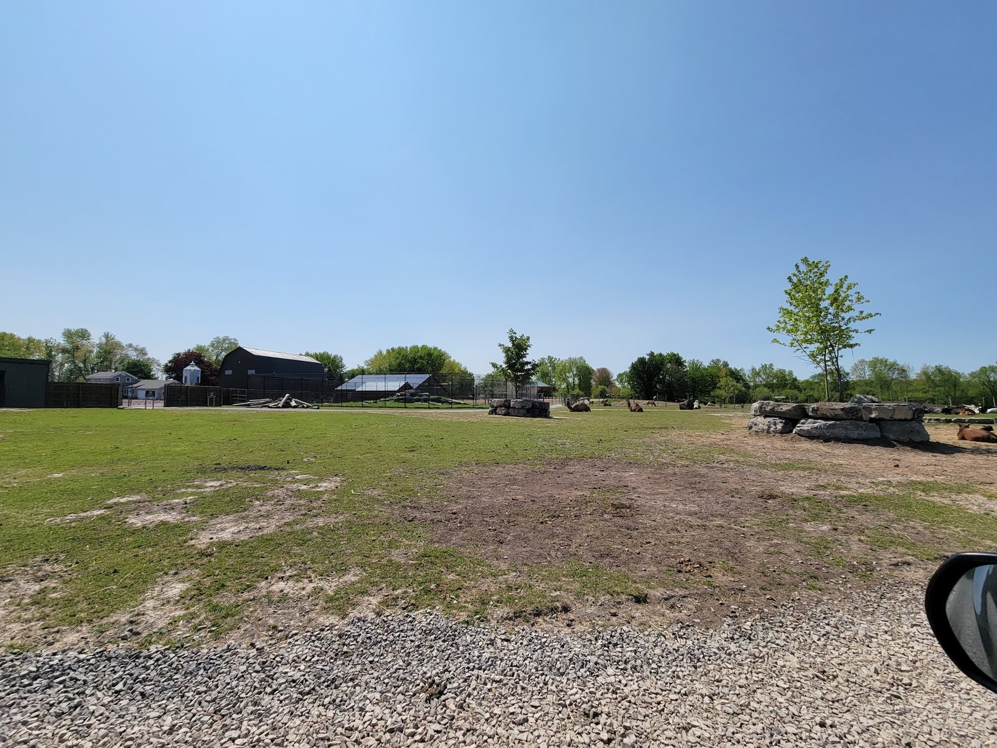 Wild Animal Park Safari - Inside entrance, view of tiger exhibit by exit