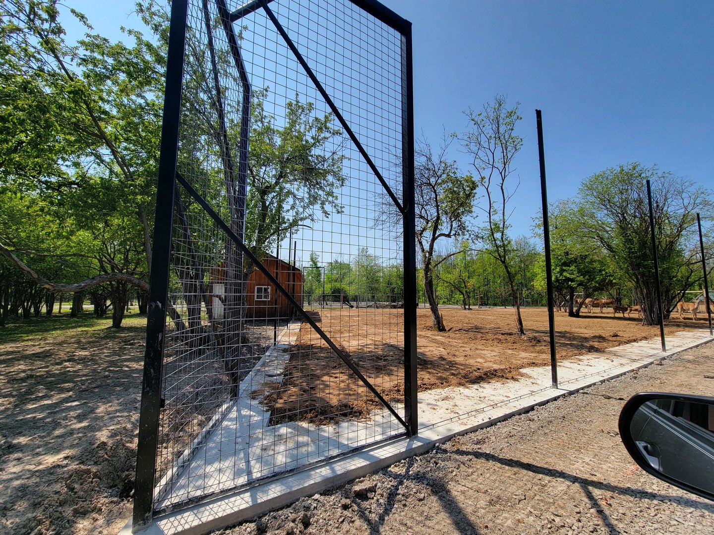 Wild Animal Park Safari - New partially fenced area?
