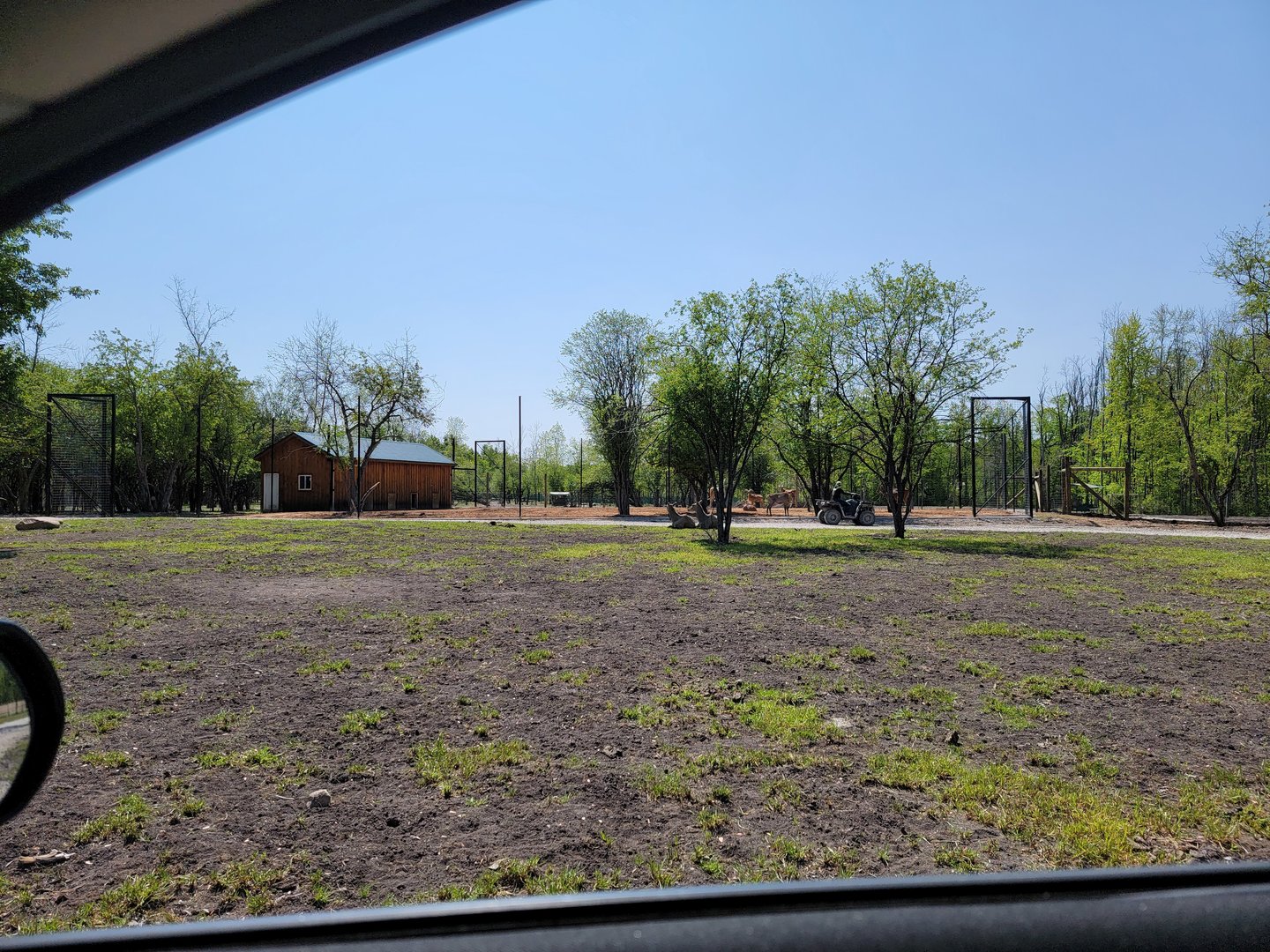 Wild Animal Park Safari - New partially fenced area?