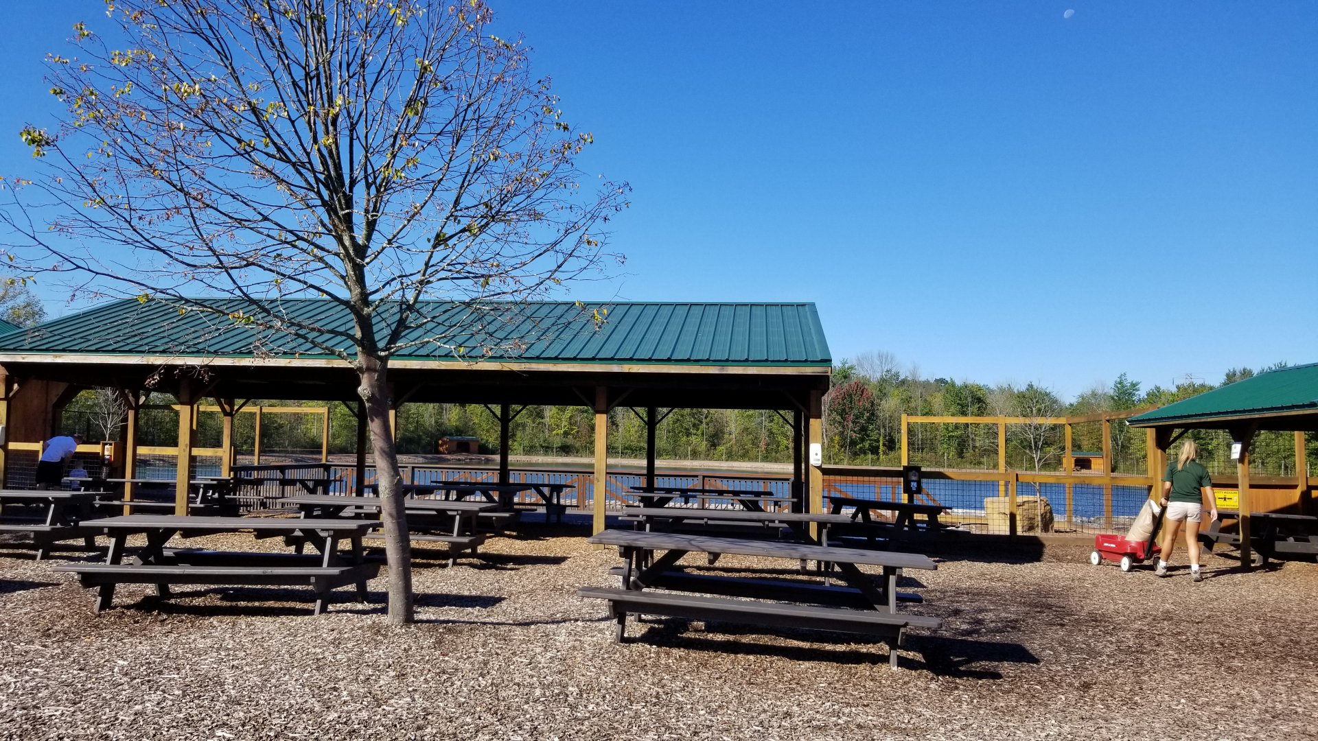 Wild Animal Park - Seating by hoofstock lake