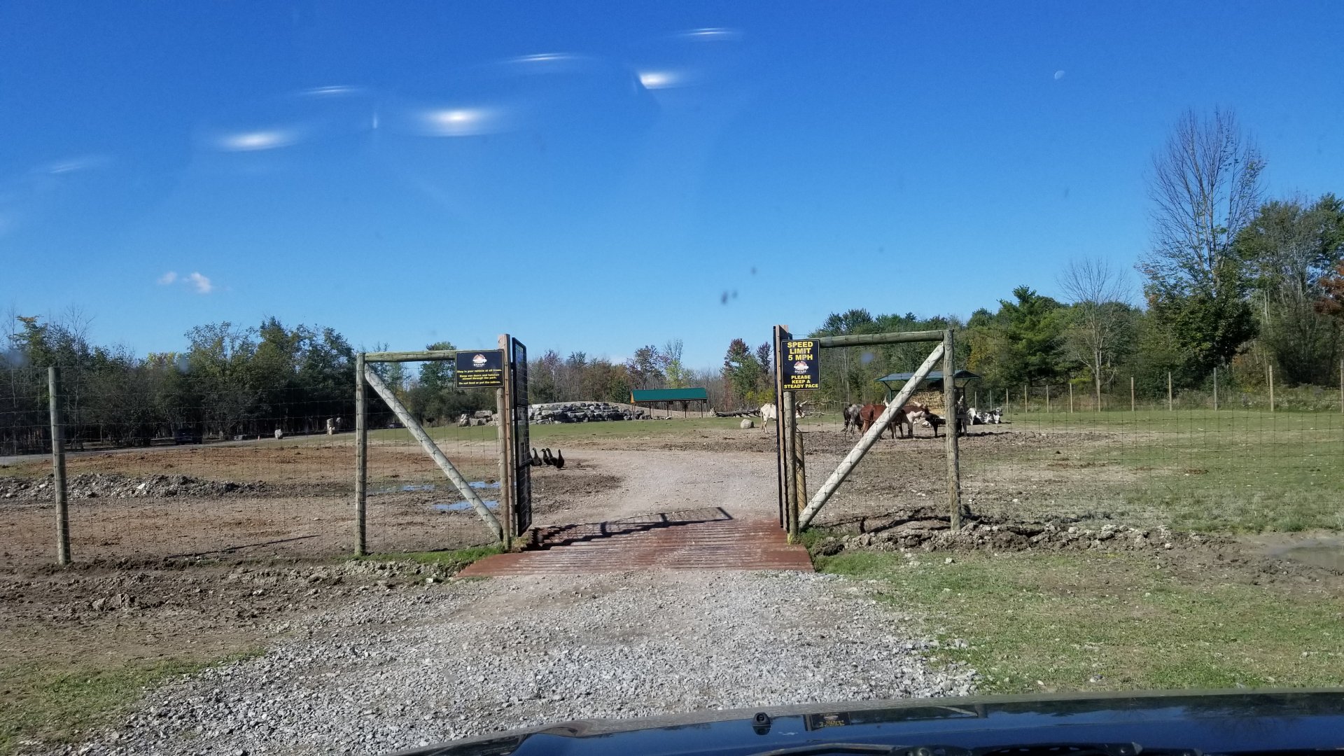 Wild Animal Park - second section of drive through