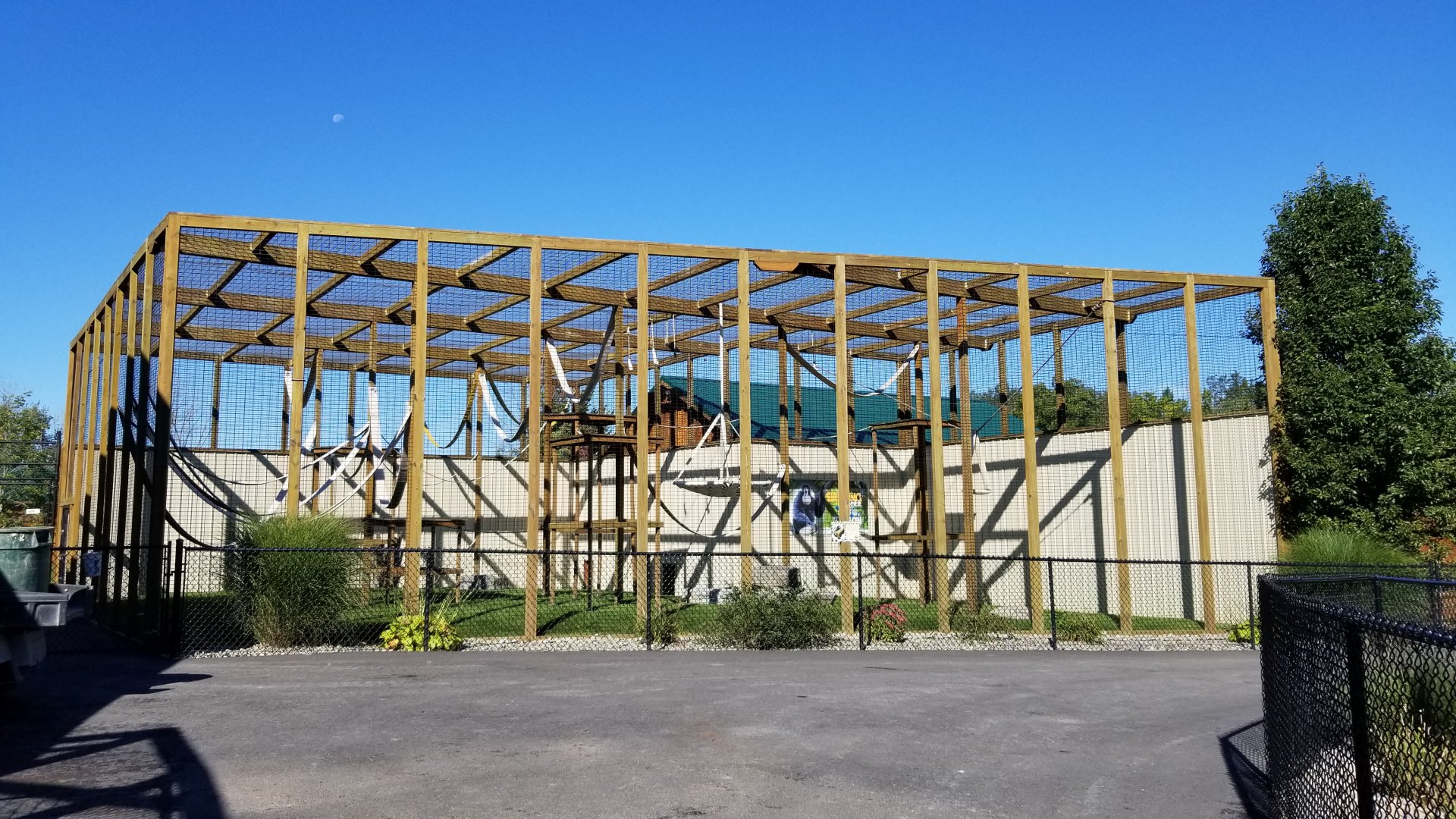 Wild Animal Park - Siamang