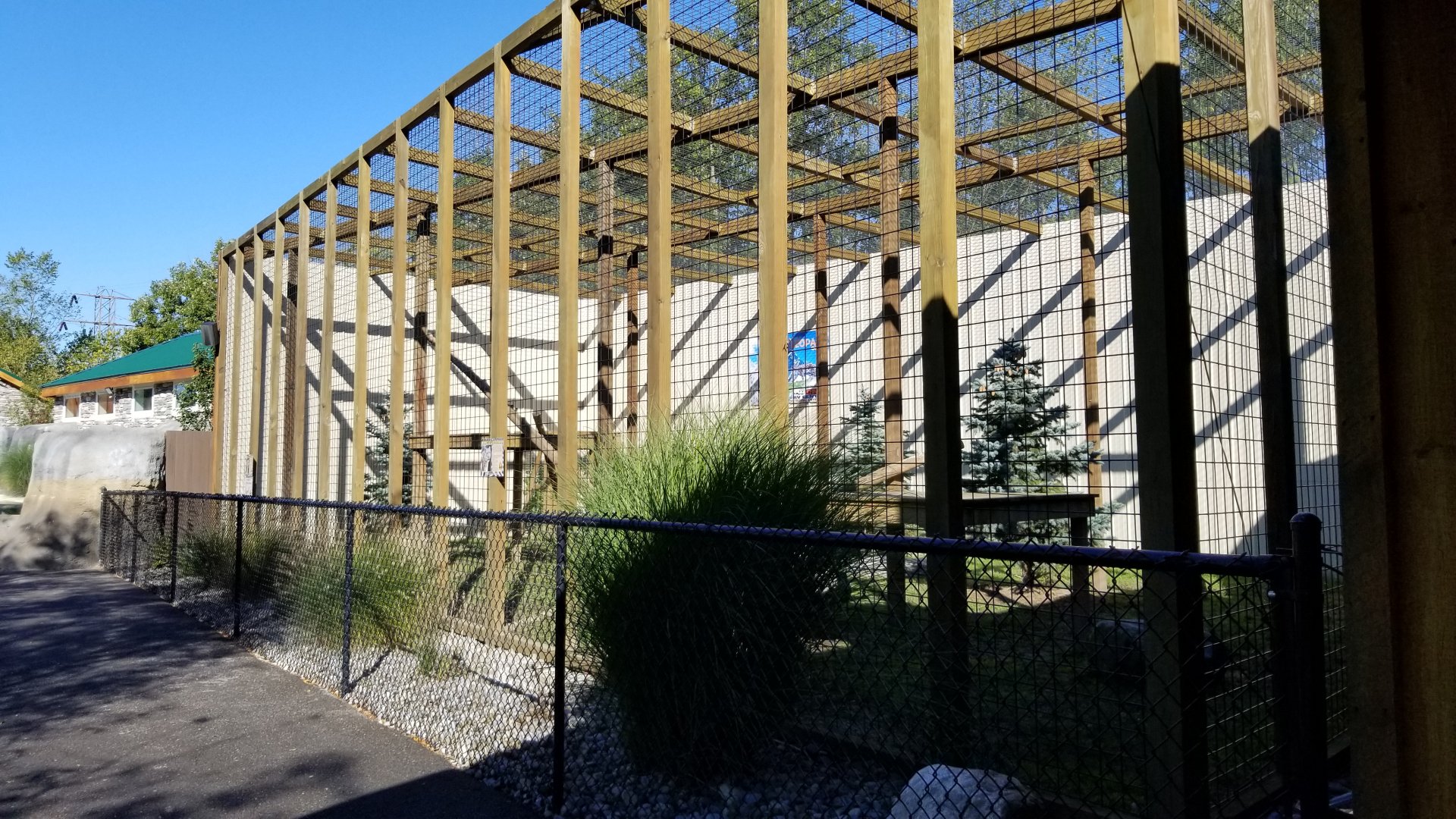 Wild Animal Park - Snow leopard
