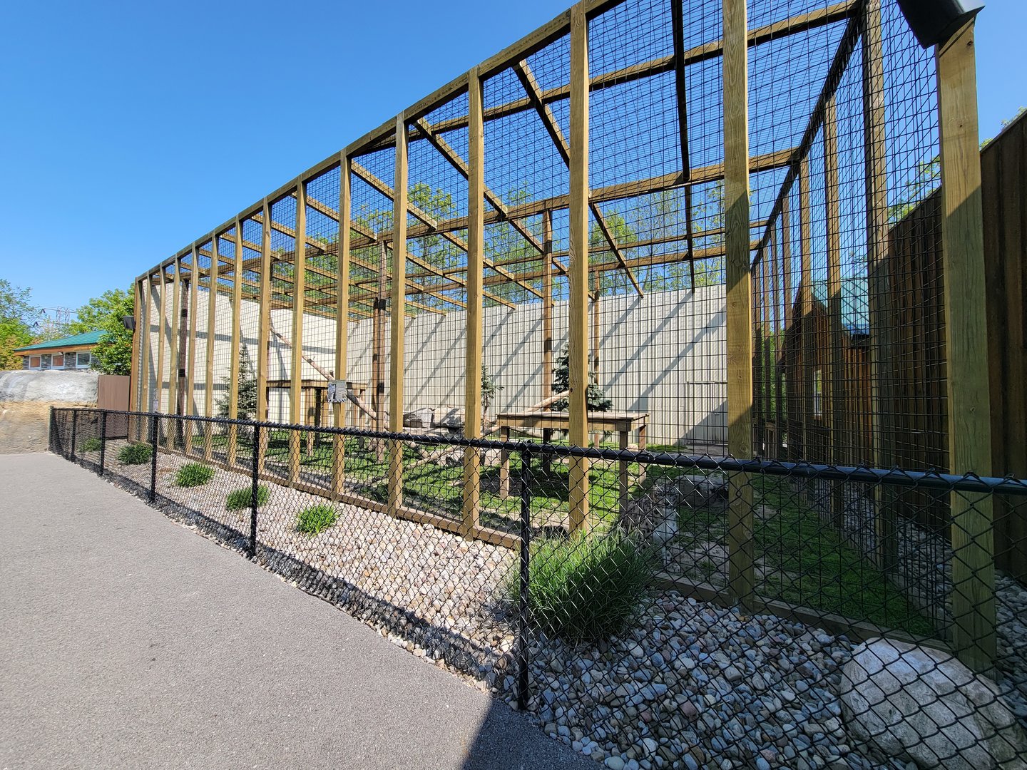 Wild Animal Park - Snow leopards