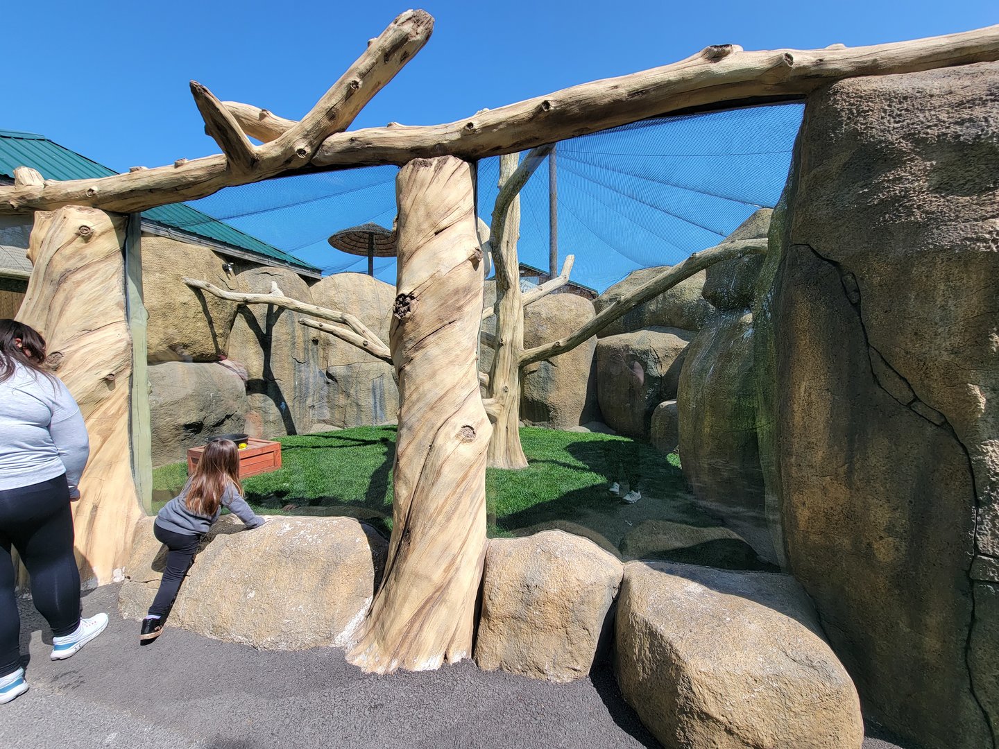 Wild Animal Park - Southern ground hornbill