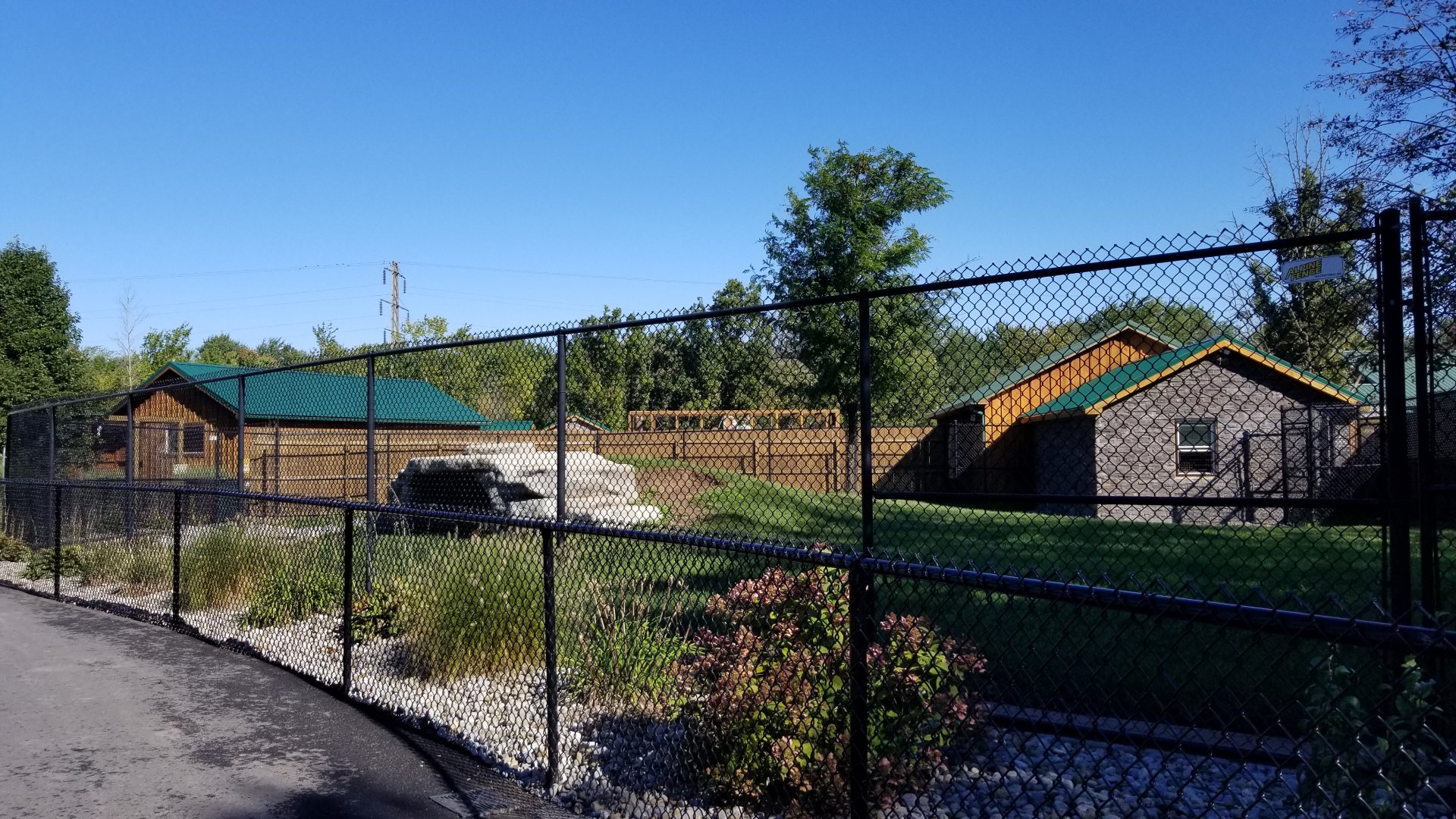 Wild Animal Park - Spotted hyena