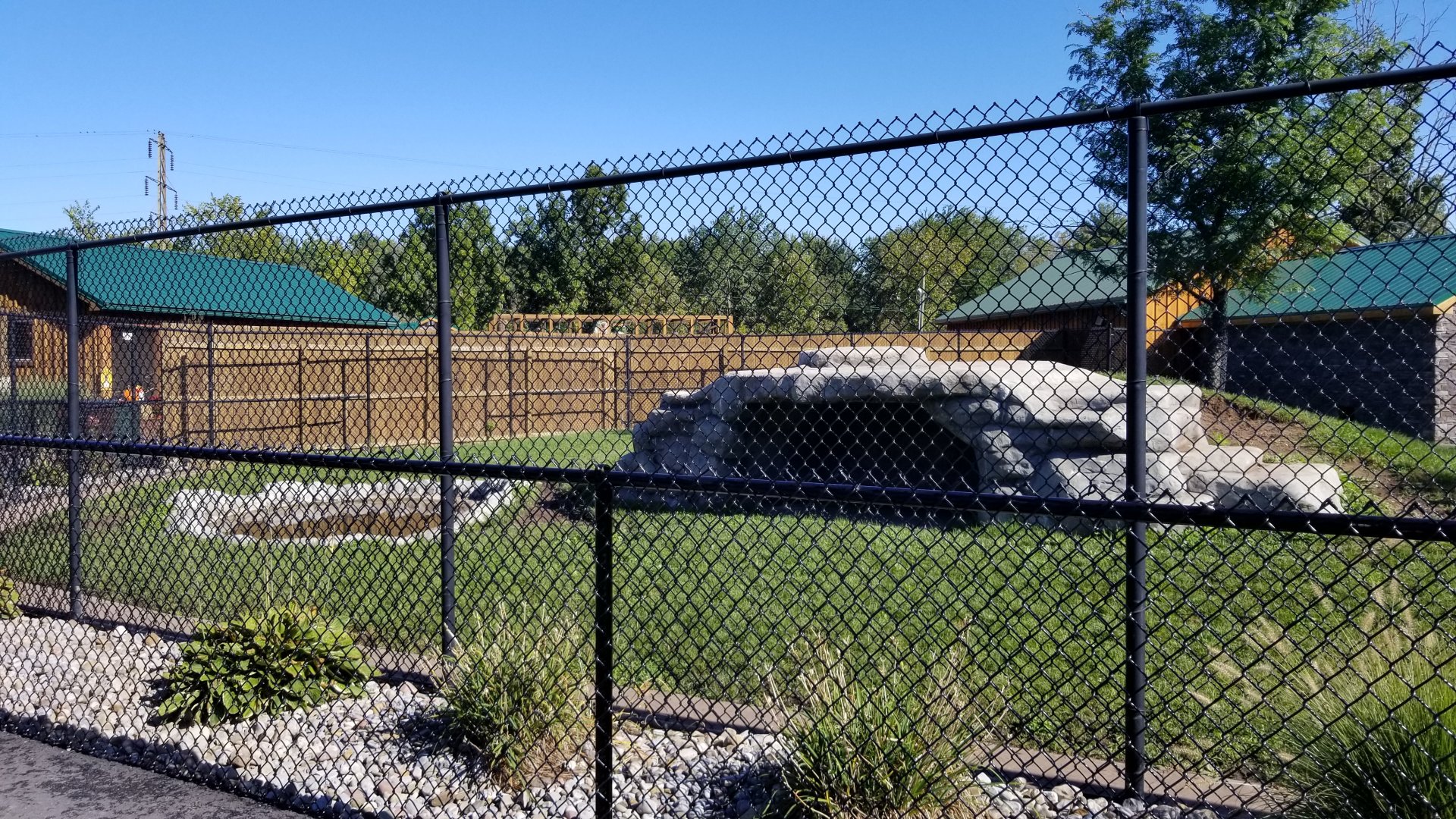 Wild Animal Park - Spotted hyena