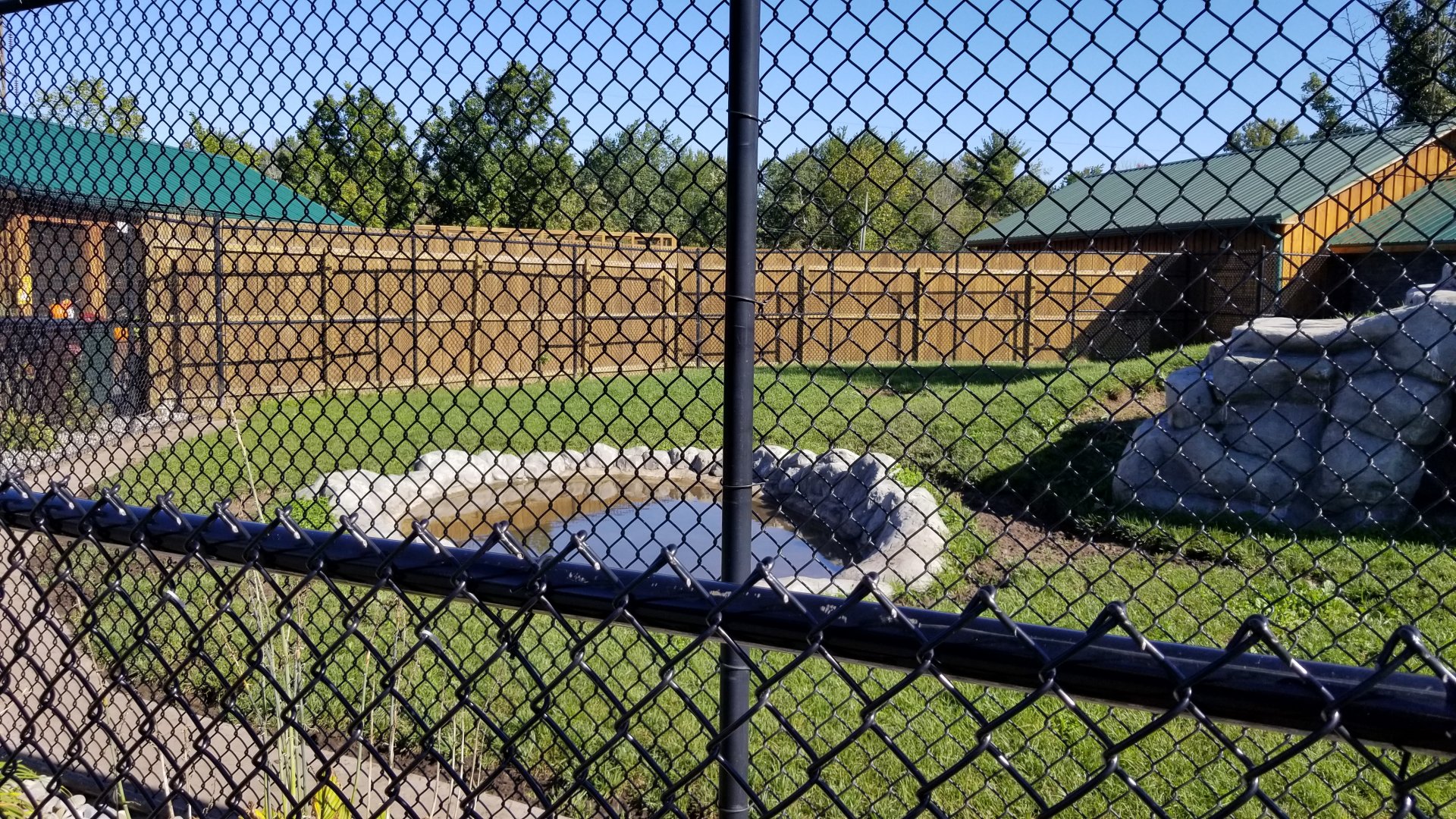 Wild Animal Park - Spotted hyena
