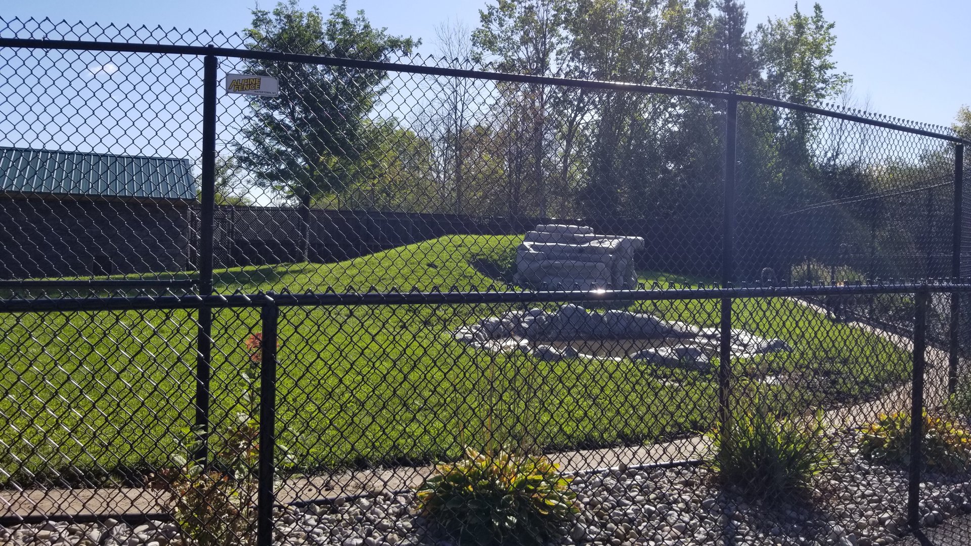 Wild Animal Park - Spotted hyena