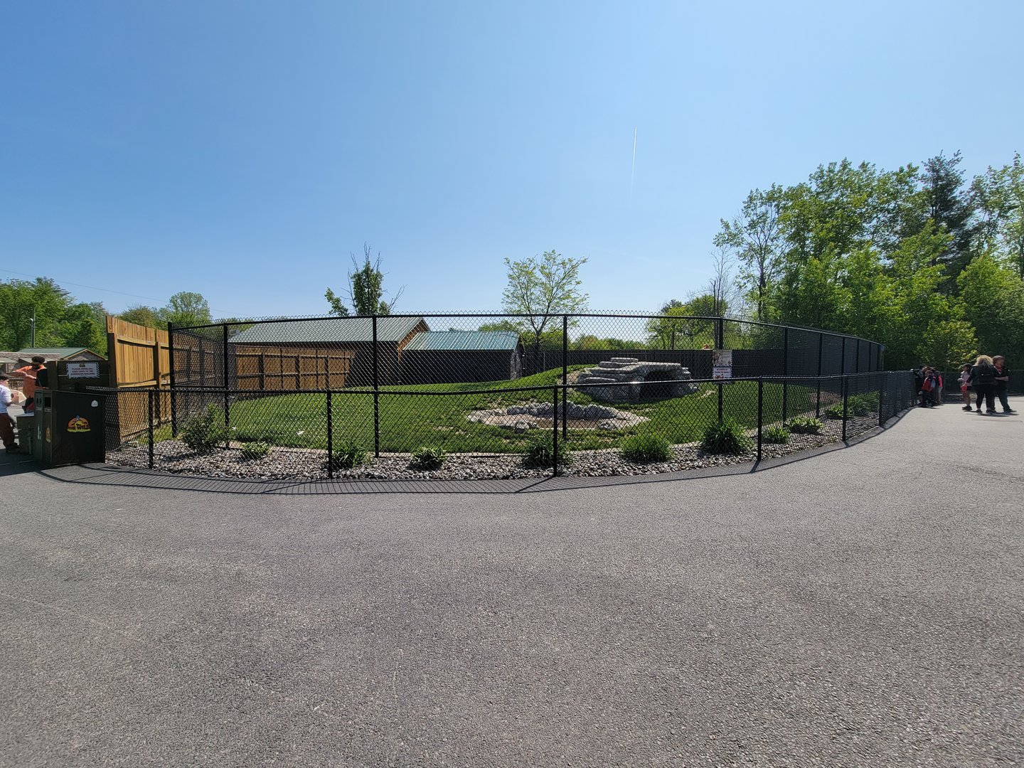 Wild Animal Park - Spotted hyenas