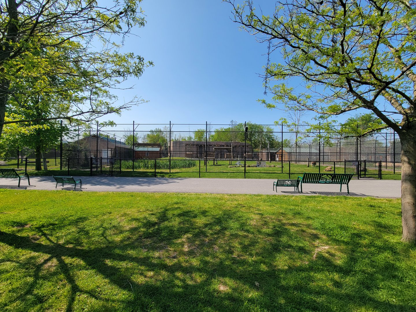 Wild Animal Park - Tiger yard