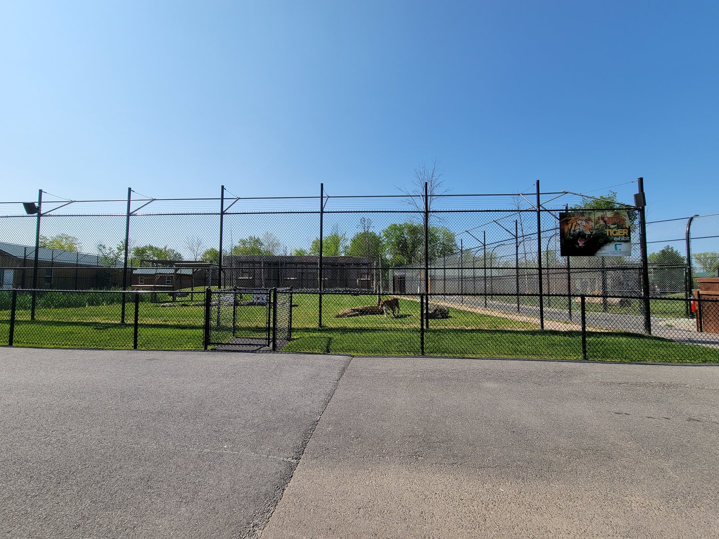 Wild Animal Park - Tiger yard