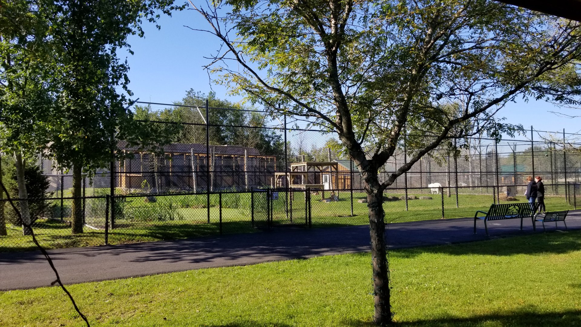 Wild Animal Park - Tigers