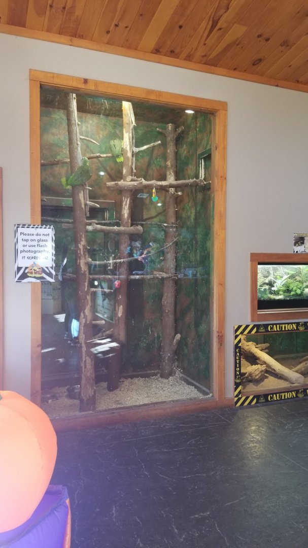 Wild Animal Park - Unsigned birds