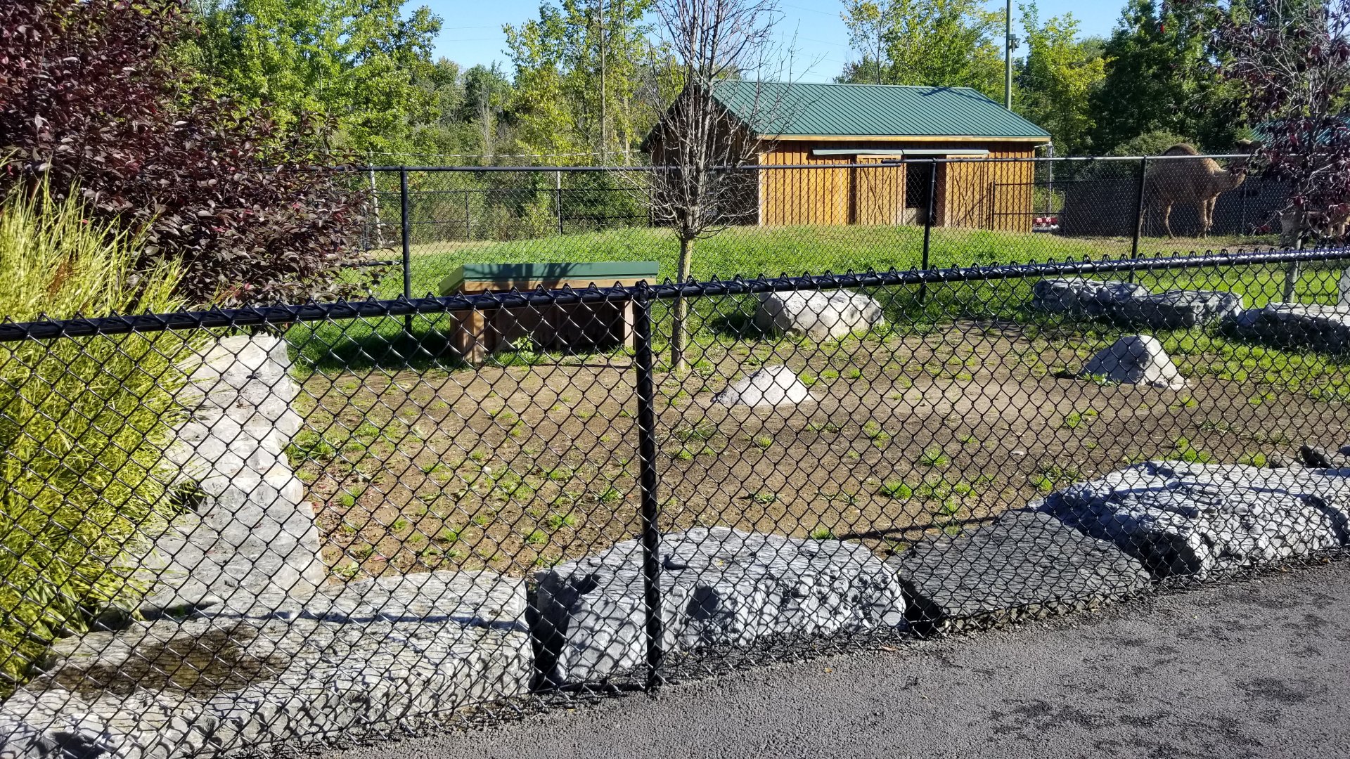 Wild Animal Park - Unused exhibit yard