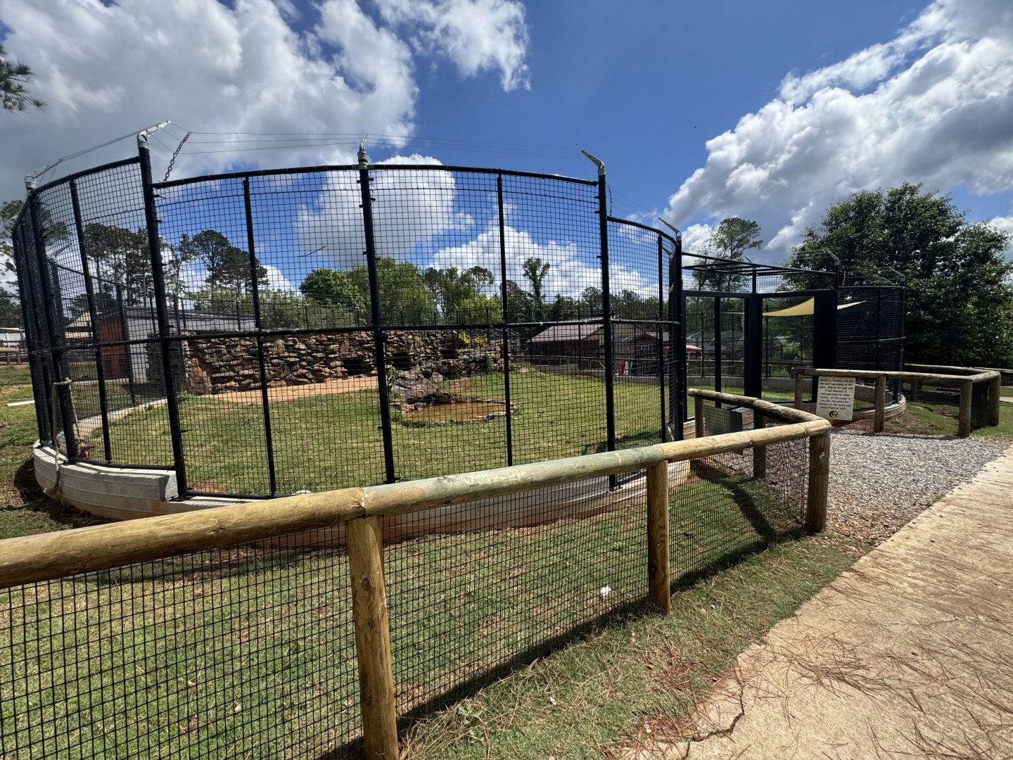 Wild Animal Safari - "Arctic" Wolf enclosure (5/4/25)