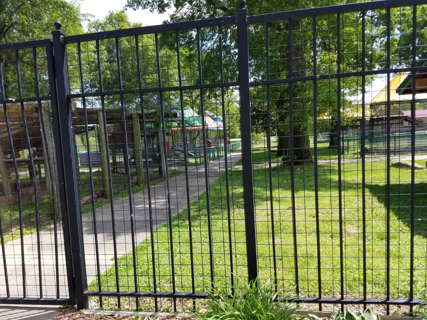 Wild Animal Safari Park