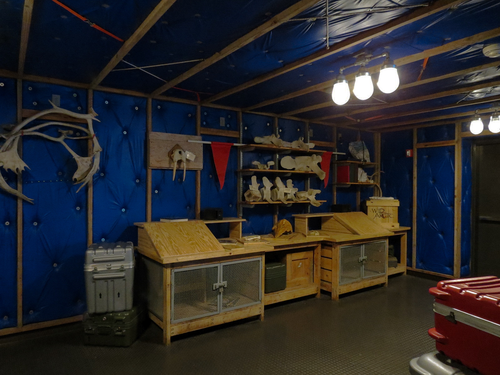 Wild Arctic - Base Station Theming