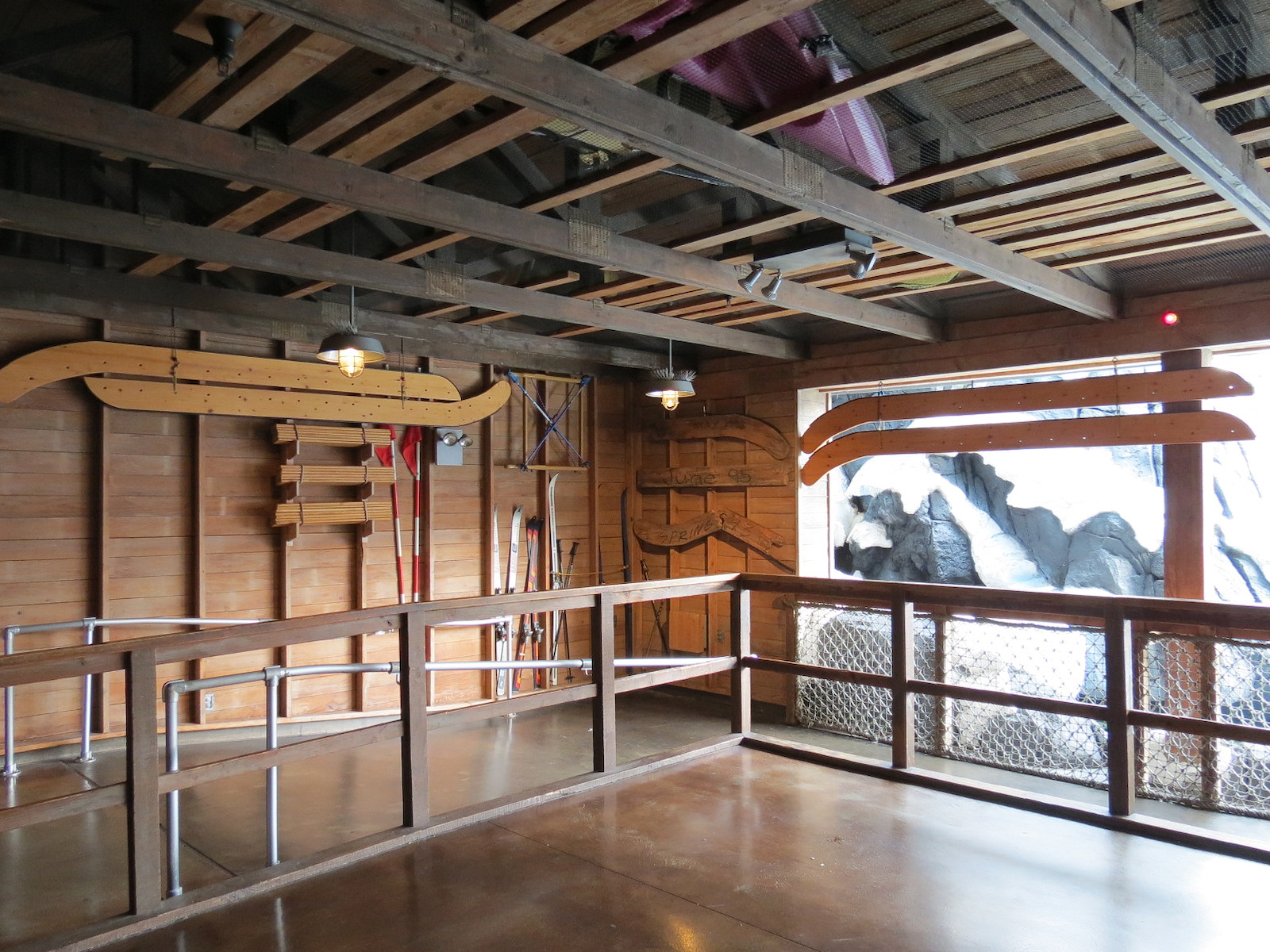 Wild Arctic - Beluga Whale Exhibit