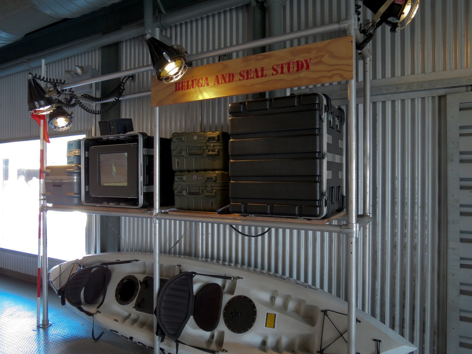 Wild Arctic - Beluga Whale Exhibit